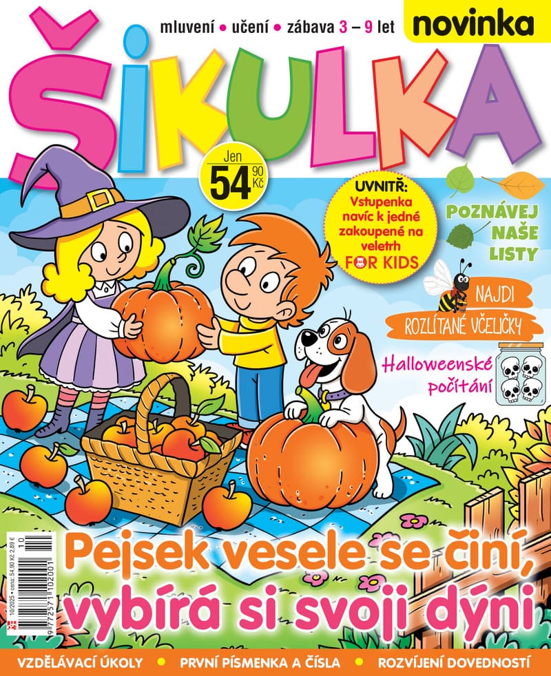 Časopis Šikulka